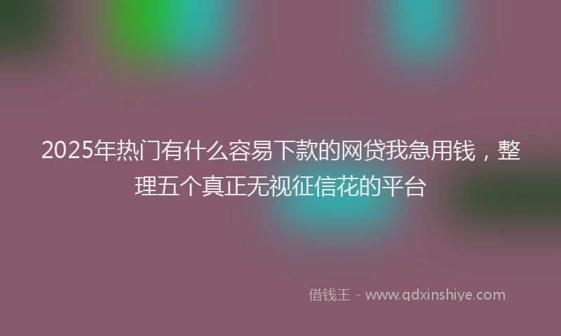 2025年热门有什么容易下款的网贷我急用钱，整理五个真正无视征信花的平台