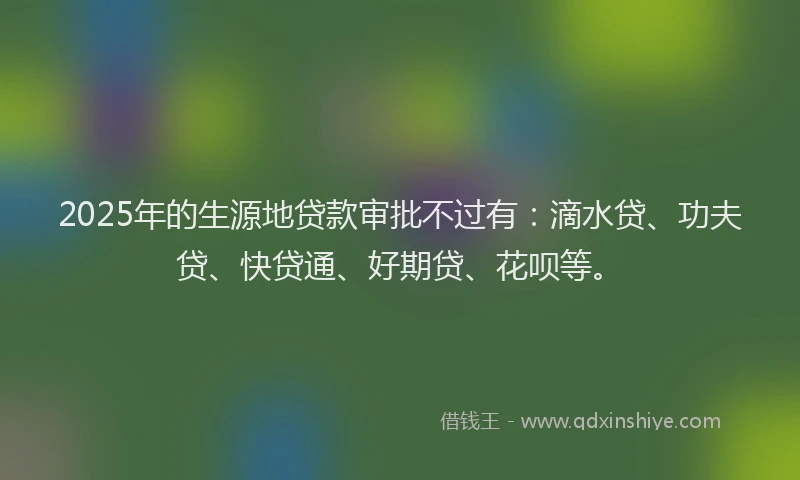 2025年的生源地贷款审批不过有：滴水贷、功夫贷、快贷通、好期贷、花呗等。
