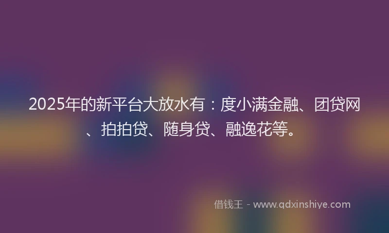 2025年的新平台大放水有：度小满金融、团贷网、拍拍贷、随身贷、融逸花等。