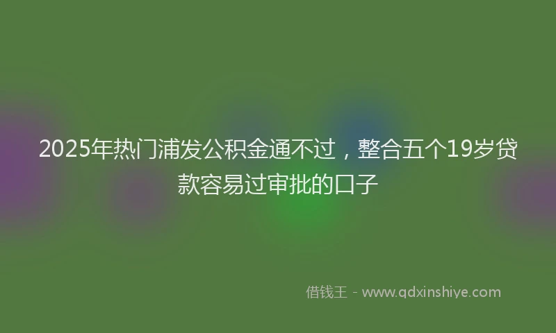 2025年热门浦发公积金通不过，整合五个19岁贷款容易过审批的口子