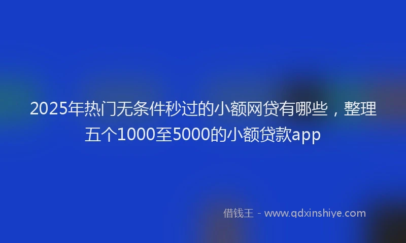 2025年热门无条件秒过的小额网贷有哪些，整理五个1000至5000的小额贷款app