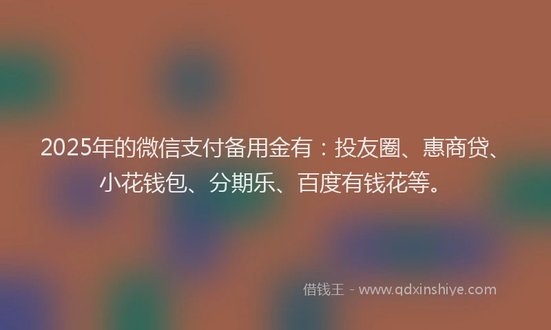 2025年的微信支付备用金有：投友圈、惠商贷、小花钱包、分期乐、百度有钱花等。