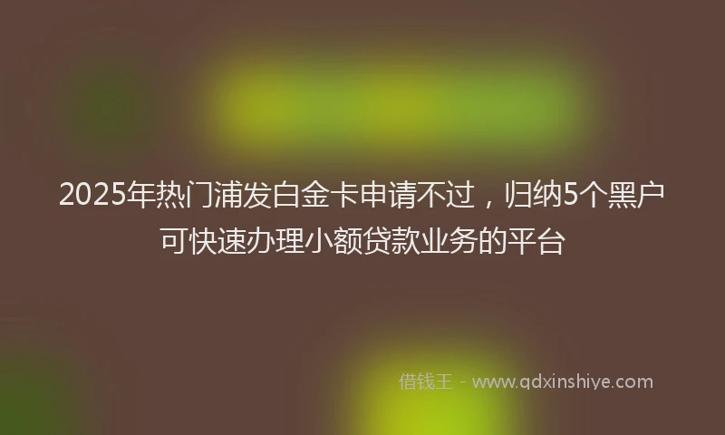 2025年热门浦发白金卡申请不过，归纳5个黑户可快速办理小额贷款业务的平台