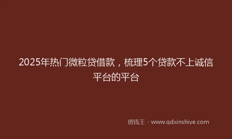 2025年热门微粒贷借款，梳理5个贷款不上诚信平台的平台