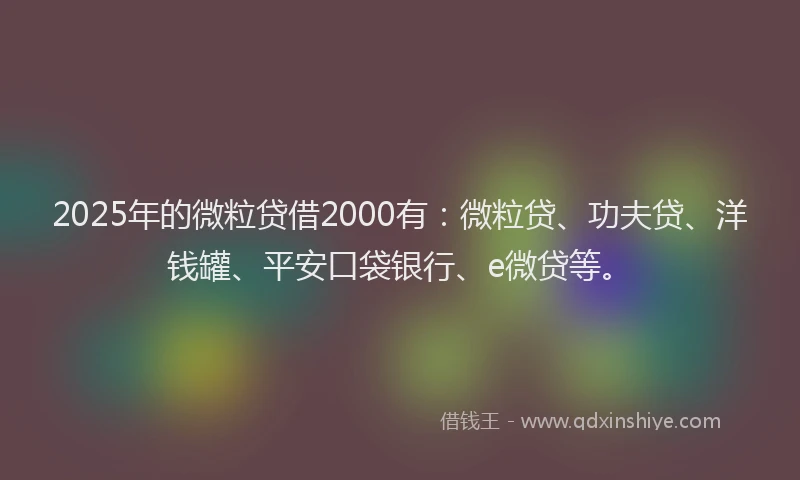 2025年的微粒贷借2000有：微粒贷、功夫贷、洋钱罐、平安口袋银行、e微贷等。