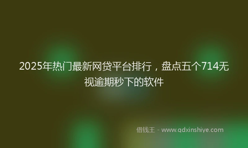 2025年热门最新网贷平台排行，盘点五个714无视逾期秒下的软件