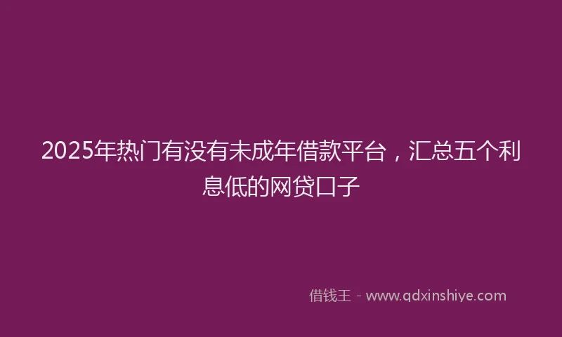 2025年热门有没有未成年借款平台，汇总五个利息低的网贷口子