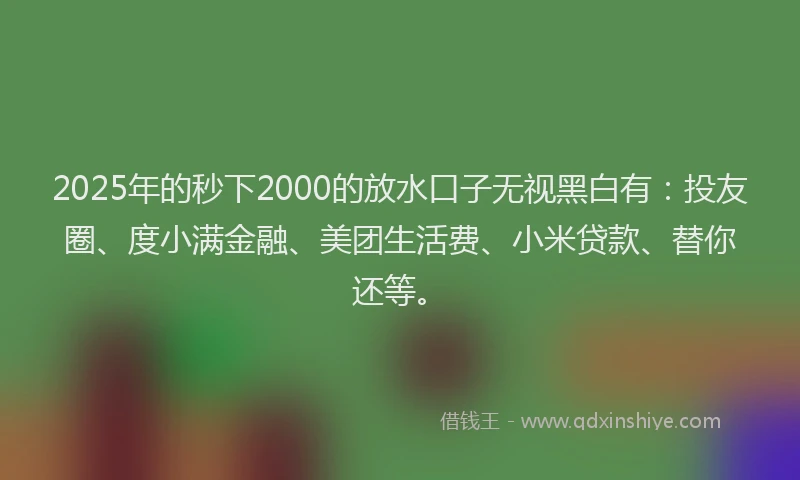 2025年的秒下2000的放水口子无视黑白有：投友圈、度小满金融、美团生活费、小米贷款、替你还等。