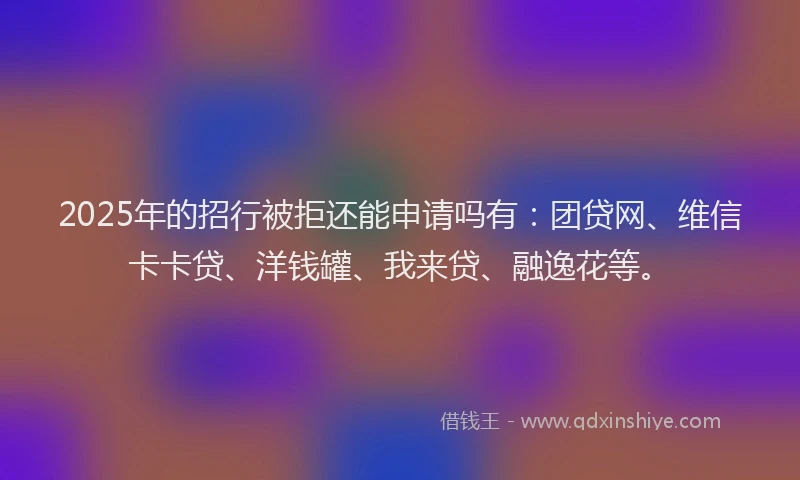 2025年的招行被拒还能申请吗有：团贷网、维信卡卡贷、洋钱罐、我来贷、融逸花等。