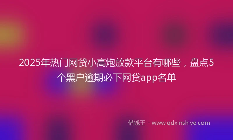 2025年热门网贷小高炮放款平台有哪些，盘点5个黑户逾期必下网贷app名单