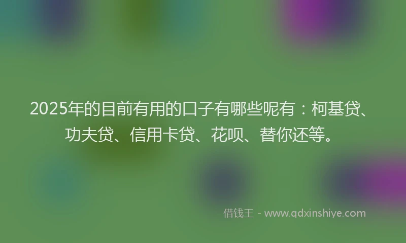 2025年的目前有用的口子有哪些呢有：柯基贷、功夫贷、信用卡贷、花呗、替你还等。