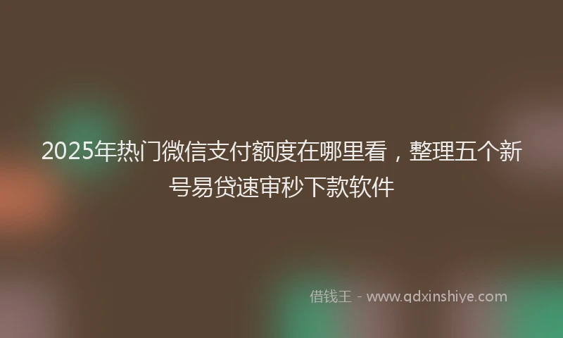 2025年热门微信支付额度在哪里看，整理五个新号易贷速审秒下款软件