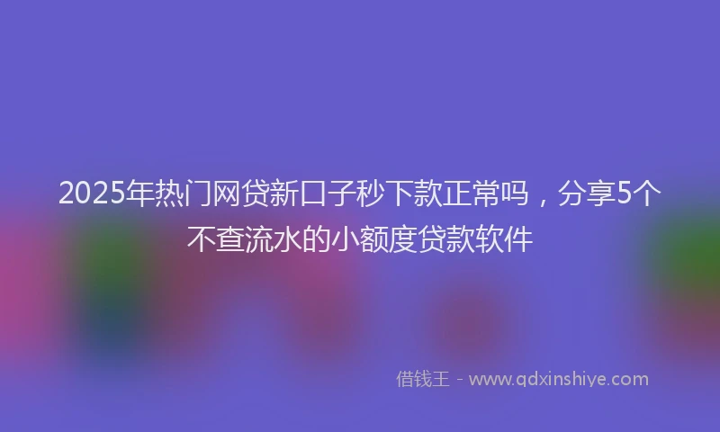 2025年热门网贷新口子秒下款正常吗，分享5个不查流水的小额度贷款软件