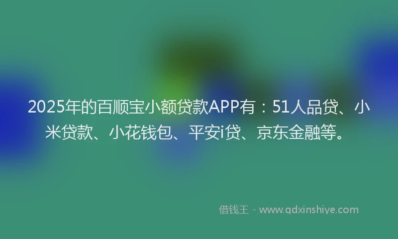 2025年的百顺宝小额贷款APP有：51人品贷、小米贷款、小花钱包、平安i贷、京东金融等。