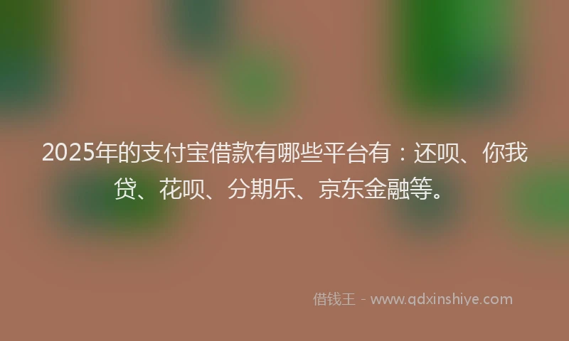2025年的支付宝借款有哪些平台有：还呗、你我贷、花呗、分期乐、京东金融等。