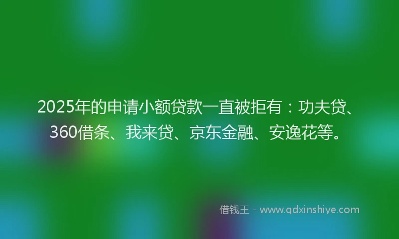 2025年的申请小额贷款一直被拒有：功夫贷、360借条、我来贷、京东金融、安逸花等。