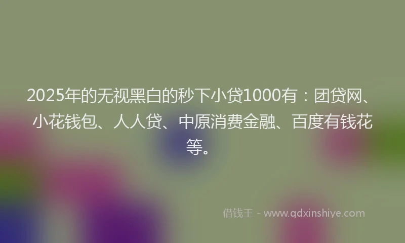 2025年的无视黑白的秒下小贷1000有：团贷网、小花钱包、人人贷、中原消费金融、百度有钱花等。