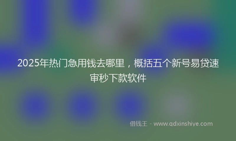 2025年热门急用钱去哪里，概括五个新号易贷速审秒下款软件