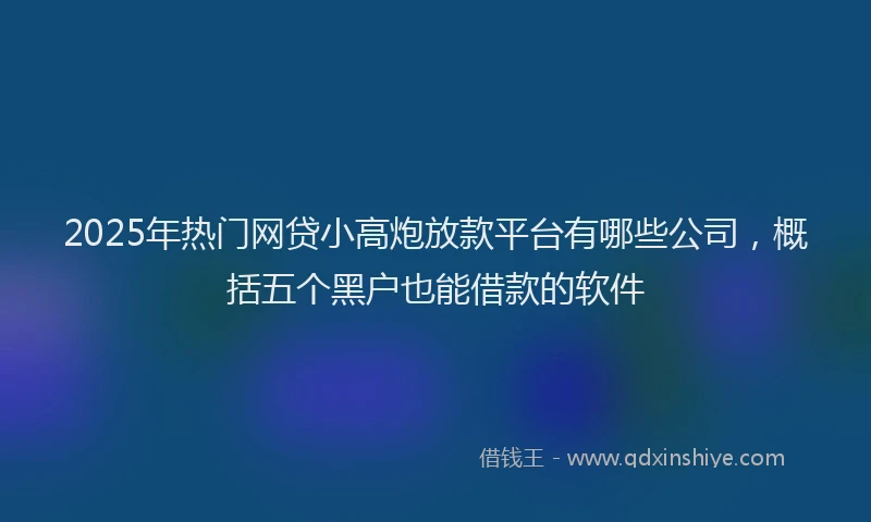 2025年热门网贷小高炮放款平台有哪些公司，概括五个黑户也能借款的软件