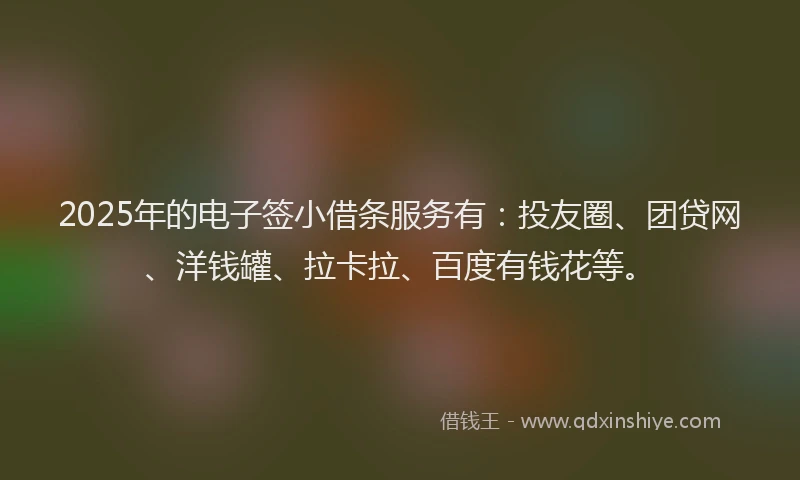 2025年的电子签小借条服务有：投友圈、团贷网、洋钱罐、拉卡拉、百度有钱花等。