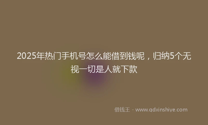 2025年热门手机号怎么能借到钱呢，归纳5个无视一切是人就下款