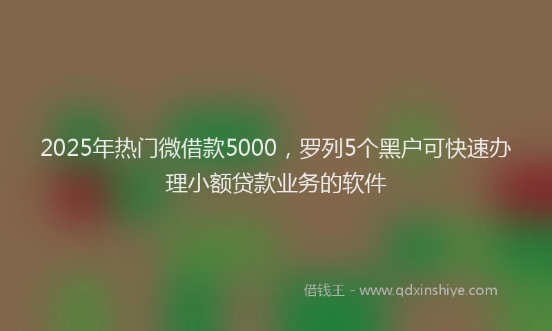 2025年热门微借款5000，罗列5个黑户可快速办理小额贷款业务的软件