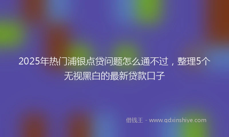 2025年热门浦银点贷问题怎么通不过，整理5个无视黑白的最新贷款口子