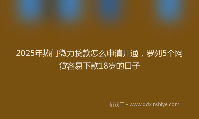 2025年热门微力贷款怎么申请开通，罗列5个网贷容易下款18岁的口子