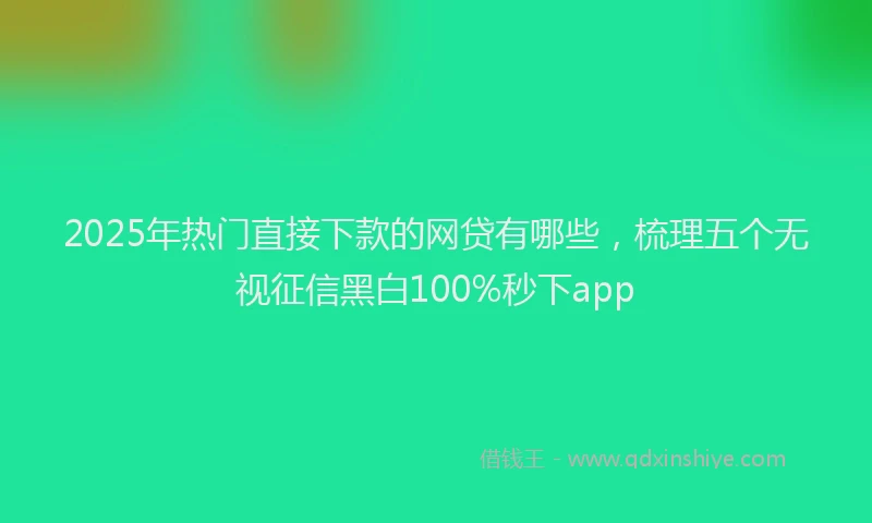 2025年热门直接下款的网贷有哪些，梳理五个无视征信黑白100%秒下app