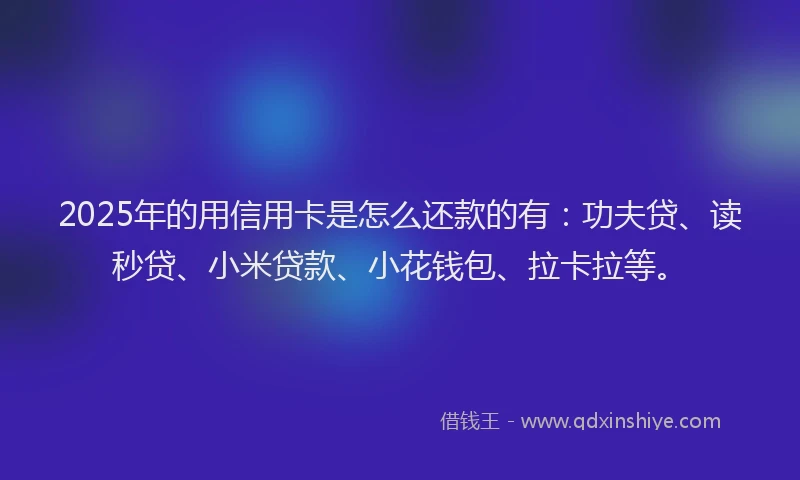 2025年的用信用卡是怎么还款的有：功夫贷、读秒贷、小米贷款、小花钱包、拉卡拉等。