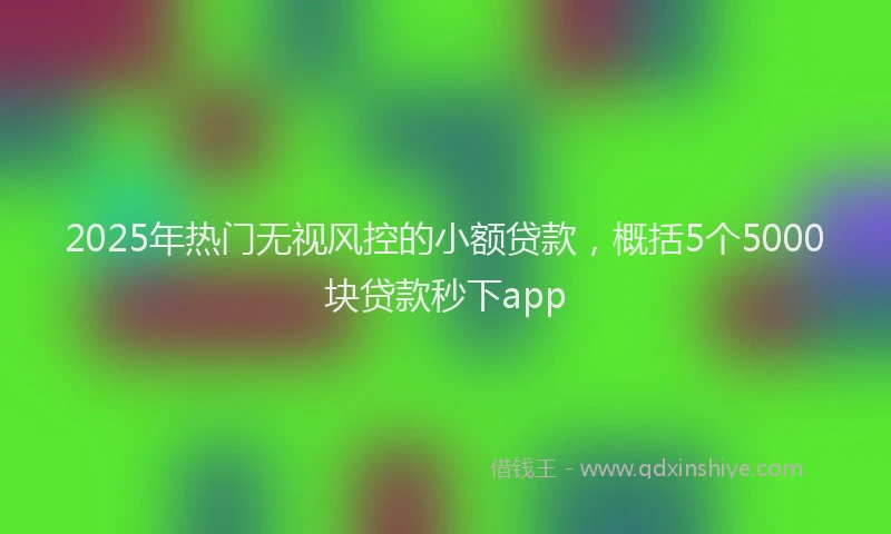 2025年热门无视风控的小额贷款，概括5个5000块贷款秒下app