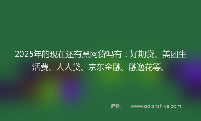 2025年的现在还有黑网贷吗有：好期贷、美团生活费、人人贷、京东金融、融逸花等。