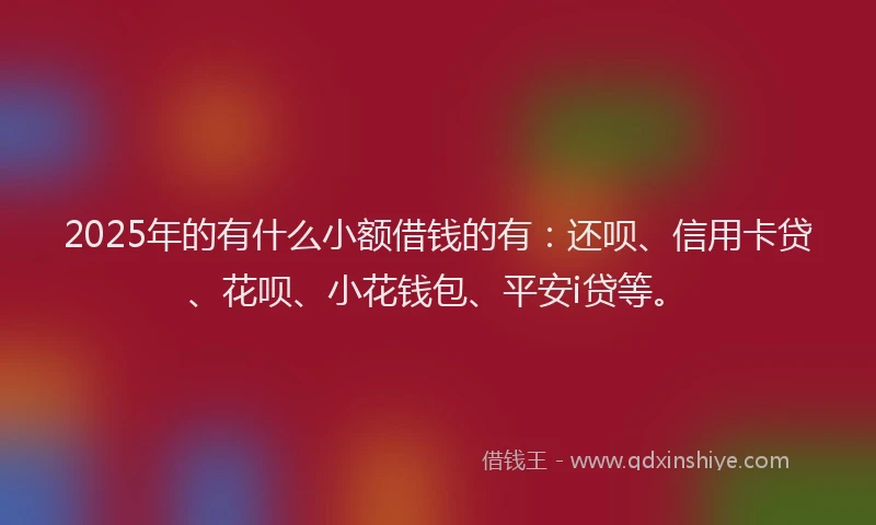 2025年的有什么小额借钱的有：还呗、信用卡贷、花呗、小花钱包、平安i贷等。