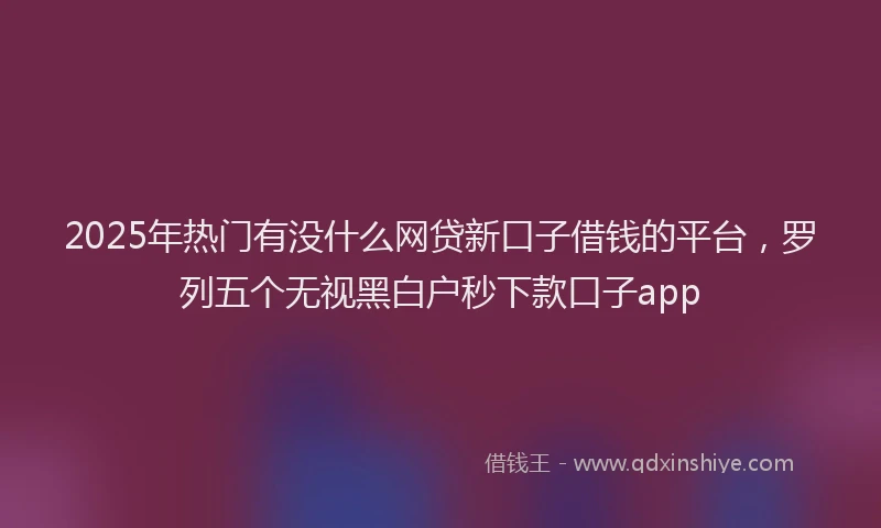 2025年热门有没什么网贷新口子借钱的平台，罗列五个无视黑白户秒下款口子app