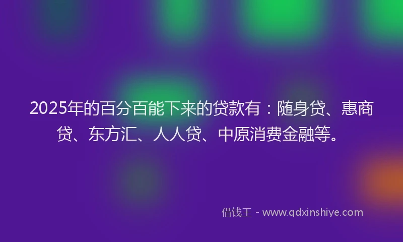 2025年的百分百能下来的贷款有：随身贷、惠商贷、东方汇、人人贷、中原消费金融等。