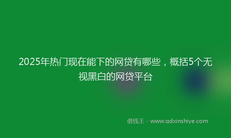 2025年热门现在能下的网贷有哪些，概括5个无视黑白的网贷平台