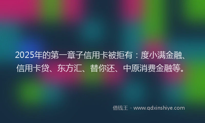 2025年的第一章子信用卡被拒有：度小满金融、信用卡贷、东方汇、替你还、中原消费金融等。