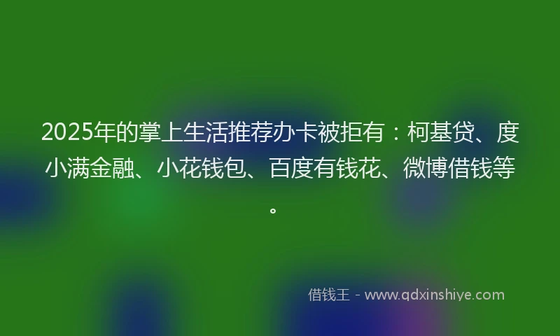 2025年的掌上生活推荐办卡被拒有：柯基贷、度小满金融、小花钱包、百度有钱花、微博借钱等。