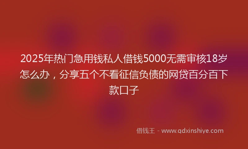 2025年热门急用钱私人借钱5000无需审核18岁怎么办，分享五个不看征信负债的网贷百分百下款口子