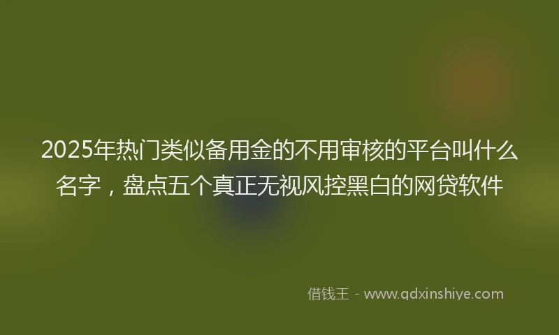 2025年热门类似备用金的不用审核的平台叫什么名字，盘点五个真正无视风控黑白的网贷软件