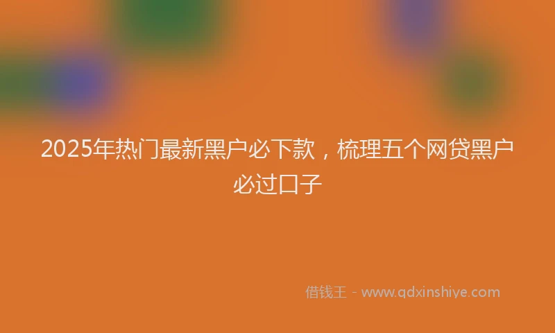 2025年热门最新黑户必下款，梳理五个网贷黑户必过口子
