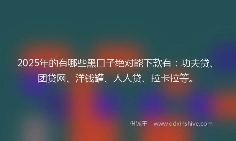 2025年的有哪些黑口子绝对能下款有：功夫贷、团贷网、洋钱罐、人人贷、拉卡拉等。