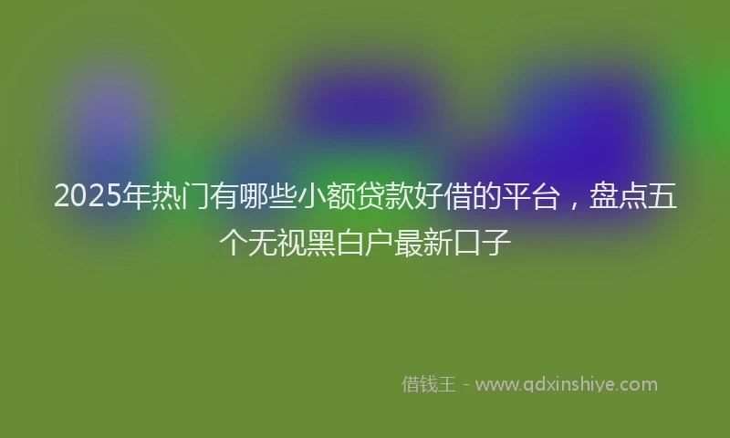 2025年热门有哪些小额贷款好借的平台，盘点五个无视黑白户最新口子