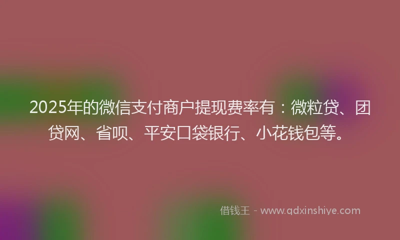 2025年的微信支付商户提现费率有：微粒贷、团贷网、省呗、平安口袋银行、小花钱包等。