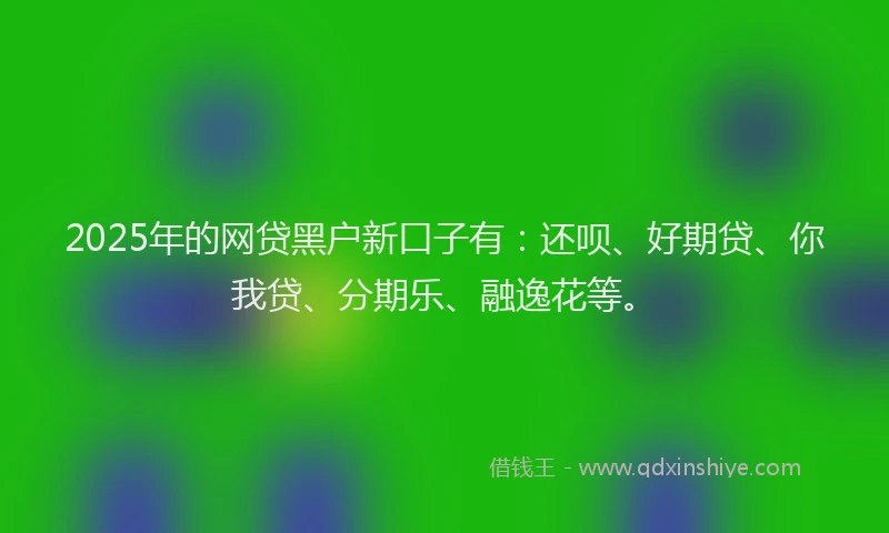 2025年的网贷黑户新口子有：还呗、好期贷、你我贷、分期乐、融逸花等。