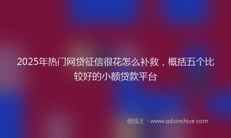 2025年热门网贷征信很花怎么补救，概括五个比较好的小额贷款平台