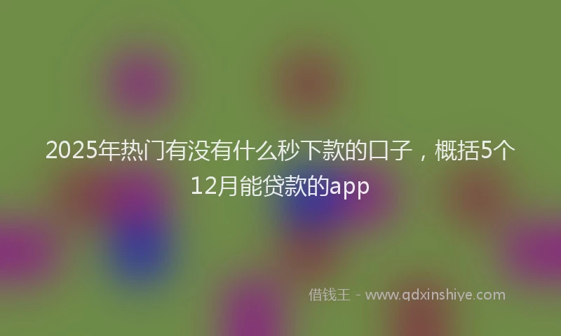 2025年热门有没有什么秒下款的口子，概括5个12月能贷款的app