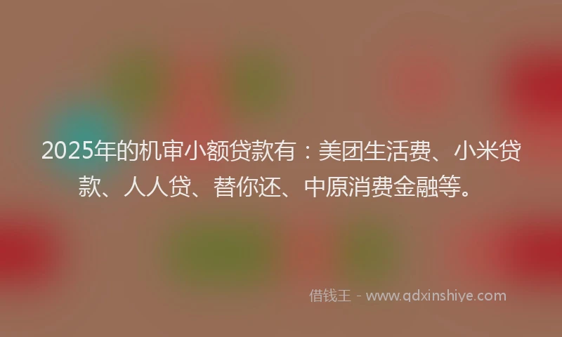 2025年的机审小额贷款有：美团生活费、小米贷款、人人贷、替你还、中原消费金融等。