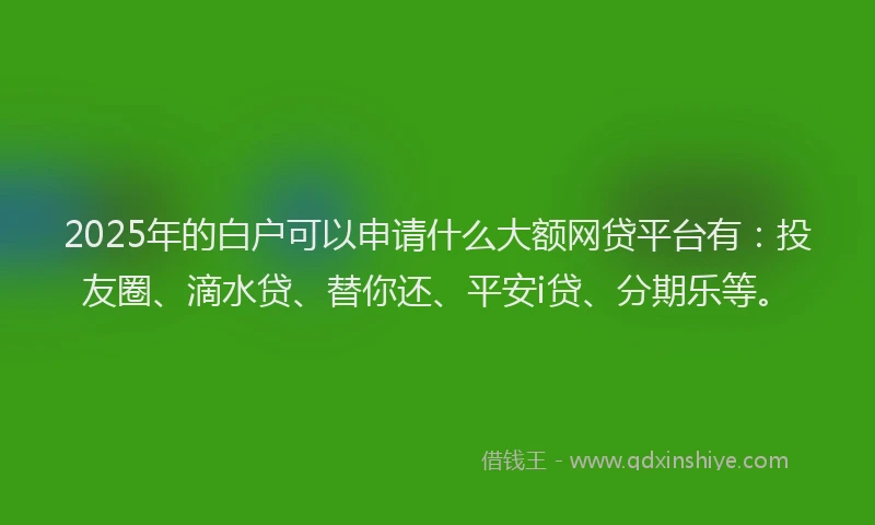 2025年的白户可以申请什么大额网贷平台有：投友圈、滴水贷、替你还、平安i贷、分期乐等。