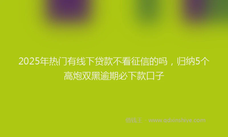 2025年热门有线下贷款不看征信的吗，归纳5个高炮双黑逾期必下款口子